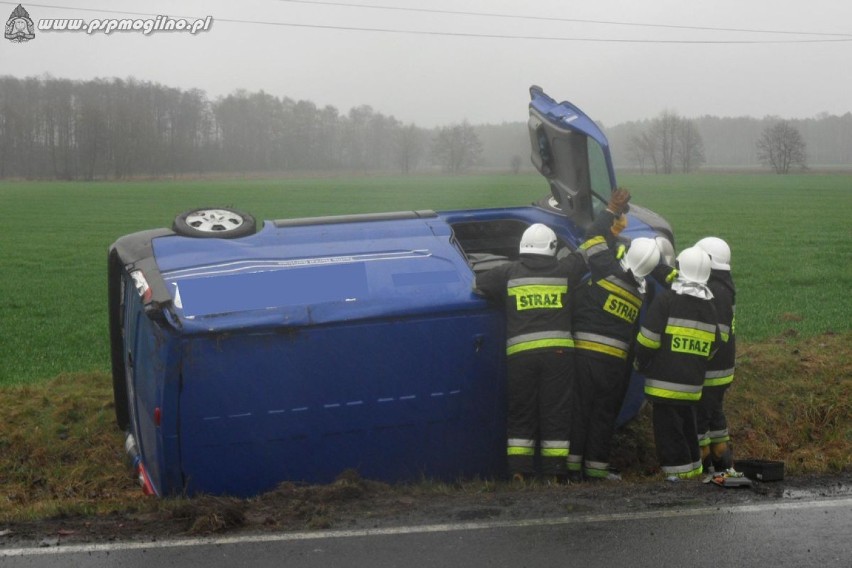 Kuśnierz: Wypadek na drodze krajowej nr 25