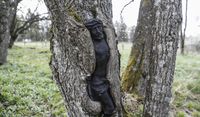 Chrystus uwięziony w drzewie - urokliwy stary cmentarz w Łupkowie.