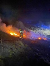 Płoną trawy w powiecie malborskim. Tak minął tydzień strażakom - raport Komendy Powiatowej PSP w Malborku