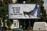 Psie kupy w Płocku - Urząd Miasta zachęca do sprzątania
