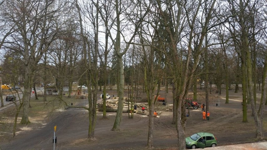 Internauta: Dlaczego wycinają drzewa w parku Łyczywka? ZUK odpowiada