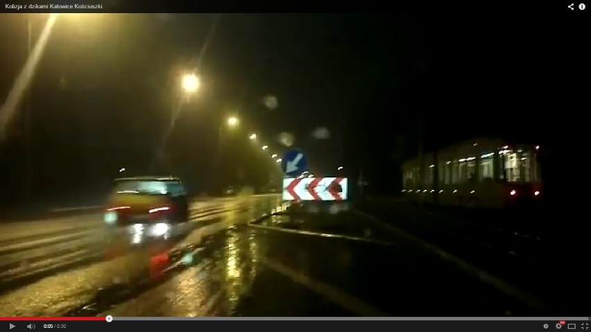 Kolizja z dzikami. Kierowca fiata wjechał w stado [WIDEO z Katowic]