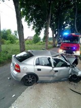 Samochód osobowy uderzył w drzewo w okolicy Smardzewa. Jedna osoba ranna ZDJĘCIA