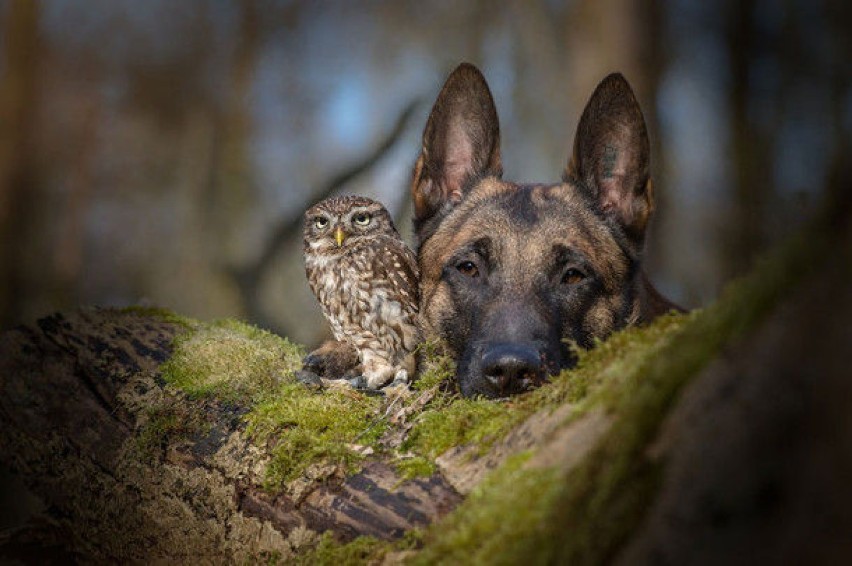 Fot.Tanja Brandt/AIP