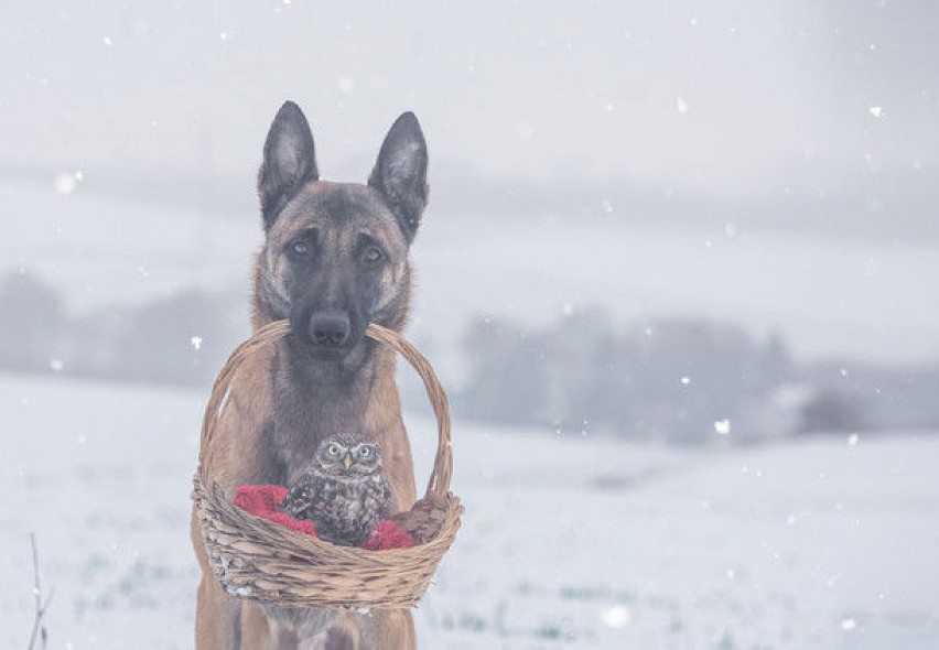 Fot.Tanja Brandt/AIP