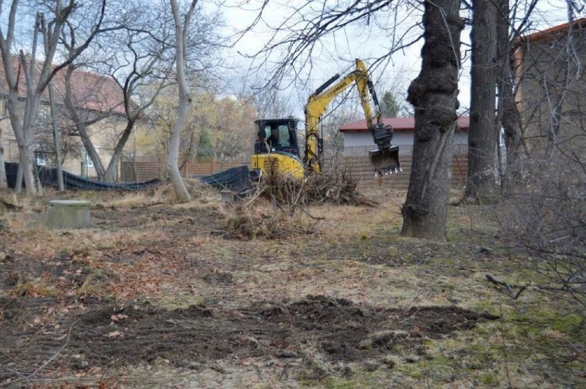 Świebodzice: porządkują park przy ul. Łącznej. Będzie ładne, zielone miejsce (ZDJĘCIA) 