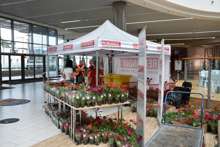 Drugi dzień akcji "Elektrośmieci oddajesz - kwiatki dostajesz" w Centrum Handlowym Forum Gliwice