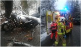 Wypadek w Sopotni Małej. Drzewo spadło na przejeżdżający motocykl. Poszkodowane w wypadku osoby trafiły do szpitala