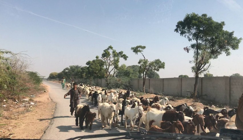 Jadą z Malborka starą karetką przez świat. Pakistan (odc. 8): Spotkania z mieszkańcami Lahore, dawnej stolicy, która podniosła się z kolan