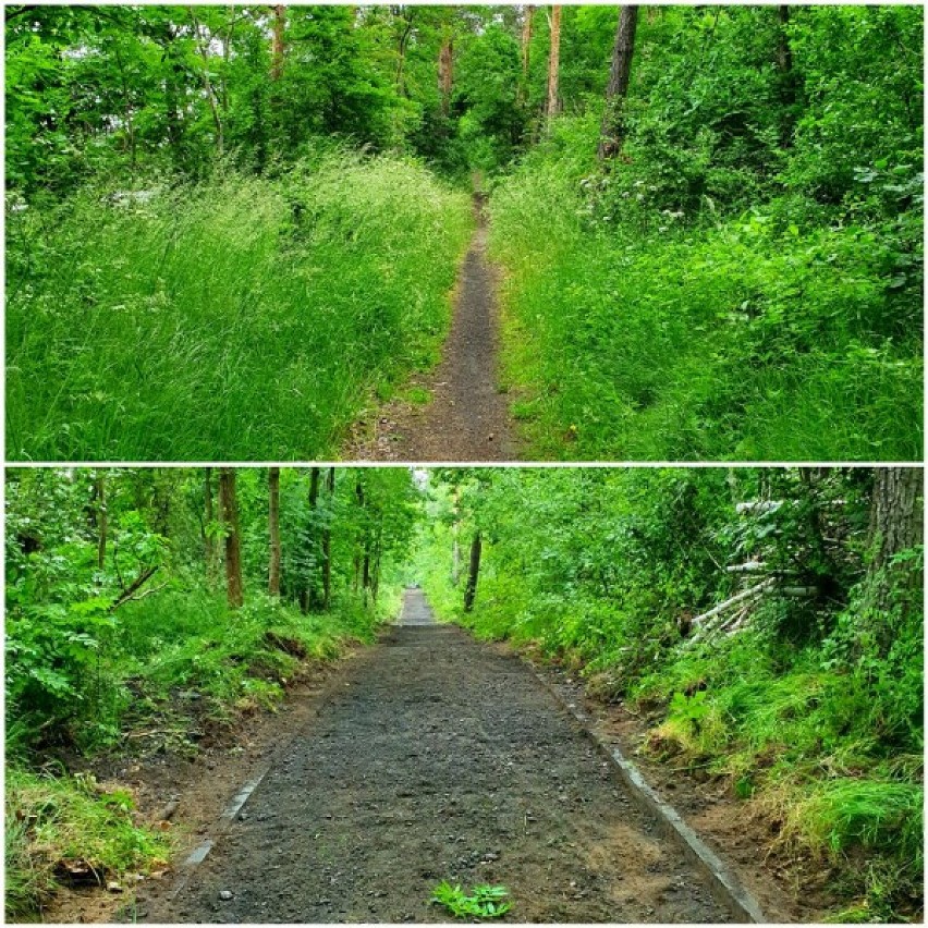 Szlak pieszo-rowerowy z Gniezna do Cielimowa został...