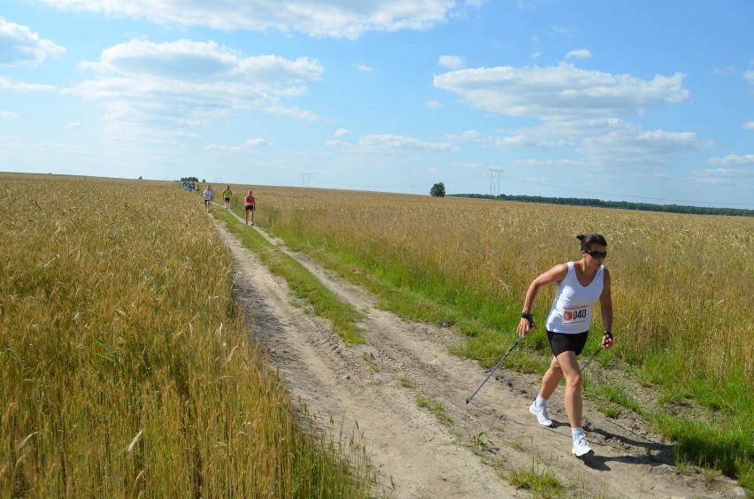 Jurajski Puchar Nordic Walking Iwanowice Małe 2013