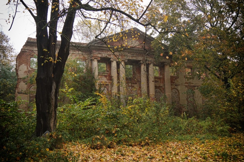 Niesamowite ruiny ukryte pośród drzew w Pątnowie koło...
