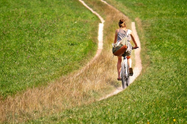 KARTUSKA PRZYRODNICZA TRASA ROWEROWA

Trasa: Kartuzy – Łapalice - Pomieczyńska Huta – Kolonia – Sianowo 

Długość: 26 km

Ścieżka rowerowa przebiega przez malownicze i rzadko odwiedzane tereny gminy Kartuzy. Szlak prowadzi głównie przez lasy i pola uprawne - tym samym jest doskonałą propozycją na całodzienną wycieczkę dla całej rodziny i obcowanie z przyrodą oraz lokalną kulturą.