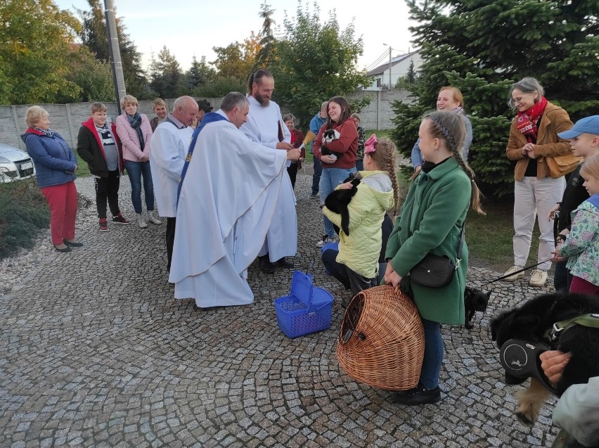 Gmina Gniezno. W Jankowie Dolnym poświęcono… zwierzęta domowe! [FOTO]