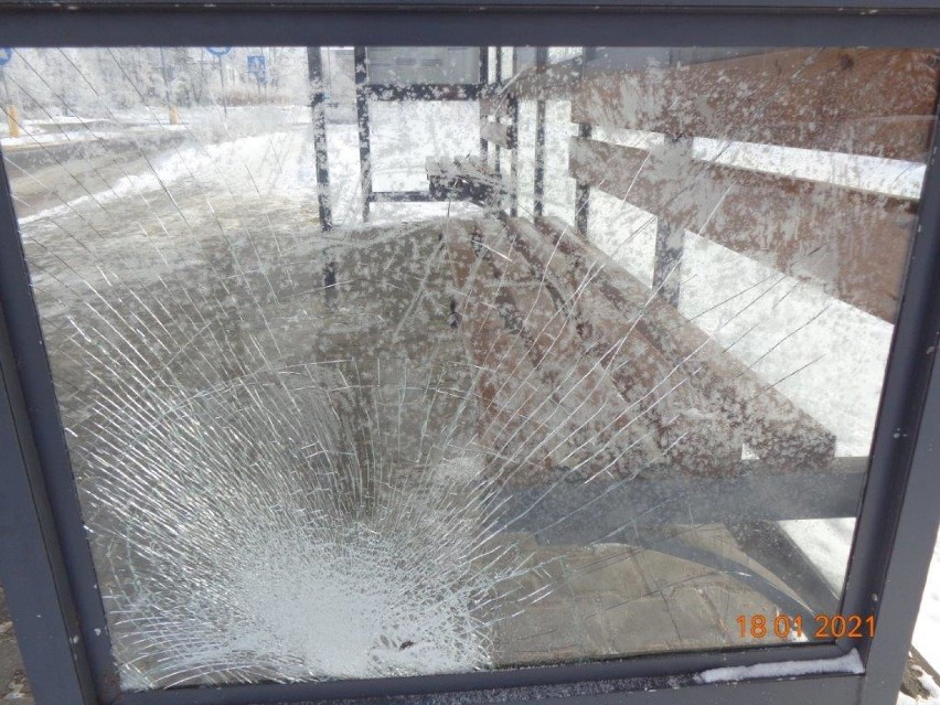 Wandale niszczą przystanki autobusowe w Piotrkowie