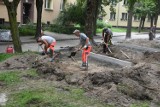 Modernizacja skweru przy Zespole Szkół Medycznych w Piotrkowie ZDJĘCIA