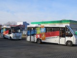 Małopolska. 301 linii autobusowych objętych dofinansowaniem z Funduszu Autobusowego w 2023 roku