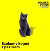 Szukamy reklamowego Mega-Ogarniacza w regionie Podhale 