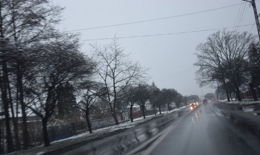 Śnieżyca na ulicach Zduńskiej Woli. Jak długo taka pogoda?