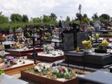 Wieluńska komunalka wykluczona z przetargu na zarządzanie cmentarzem