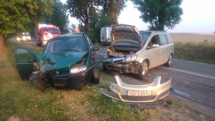 Wypadek na DW 790 między Pilicą a Podzamczem