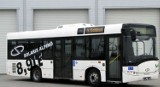 Midibusy Solaris Alpino będą nowością w gdyńskiej komunikacji miejskiej