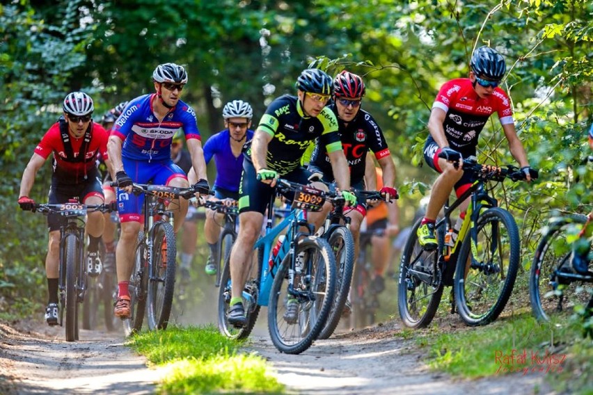 W Przytocznej kolarze ścigali się na leśnych ścieżkach. Zawody Zachodniej Ligi MTB