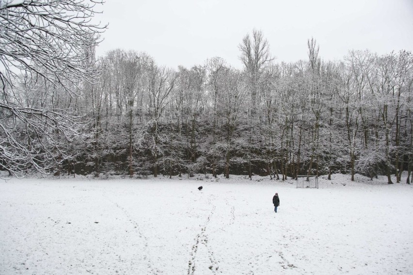 Park Bednarskiego i okolice w zimowej odsłonie