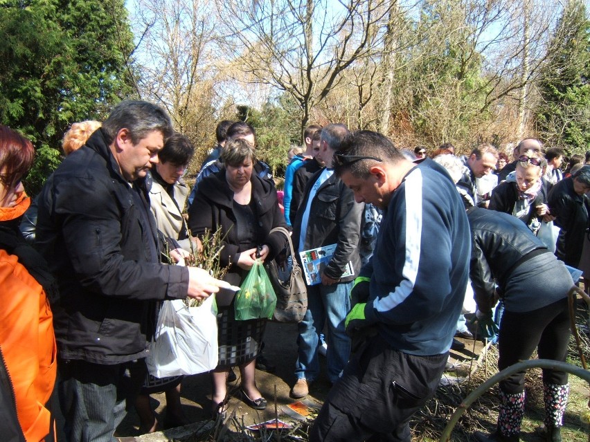 Targi Rolno - Ogrodnicze w Marszewie IV 2013
