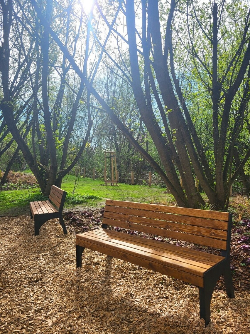 Nowy park w Krakowie – miejsce, gdzie natura gra główną rolę. Olsza Park nad Białuchą już dostępny dla mieszkańców
