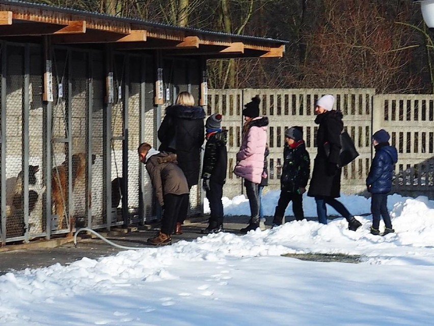 Uczniowie przekazali dary dla schroniska dla bezdomnych zwierząt w Radomsku