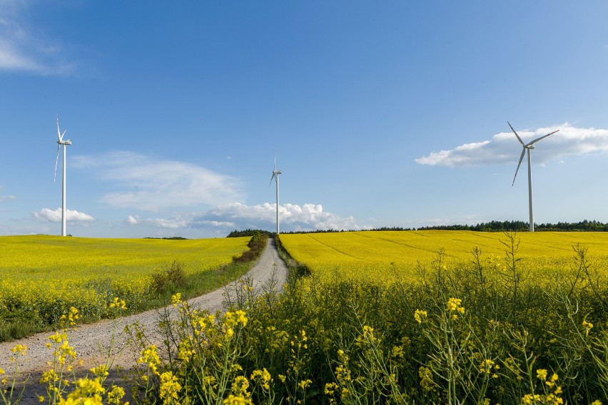 Kalendarz 2019 Dziennika Bałtyckiego. Wielka galeria zdjęć od Czytelników. Piękny powiat wejherowski na Waszych zdjęciach. CZ.2 