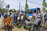 Kraków. Mieszkańcy domagają się zieleni. Są wyniki tegorocznego budżetu obywatelskiego