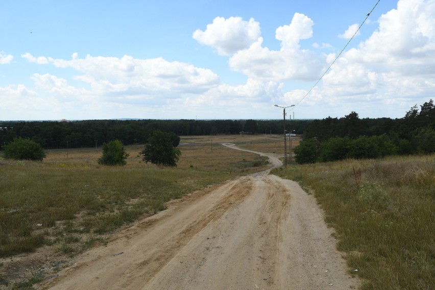 W poprzednich latach na woodstockowym polu w Kostrzynie...