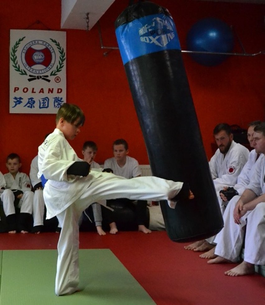 XIX Puchar Pomorza Polskiej Organizacji Ashihara Karate w Darłowie [ZDJĘCIA]