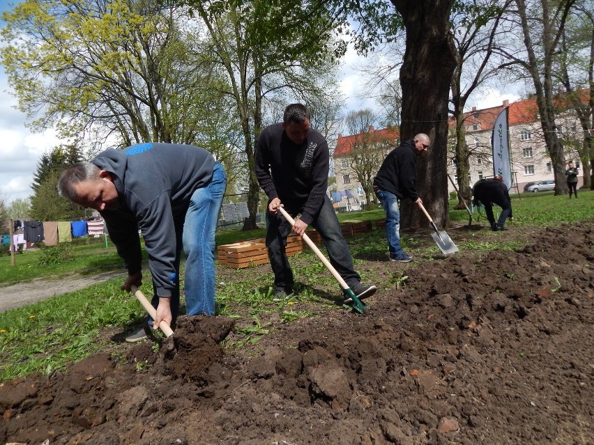 To pierwszy taki ogród w Lubuskiem! Zrobili go sąsiedzi z Zakanala w Gorzowie [zdjęcia]