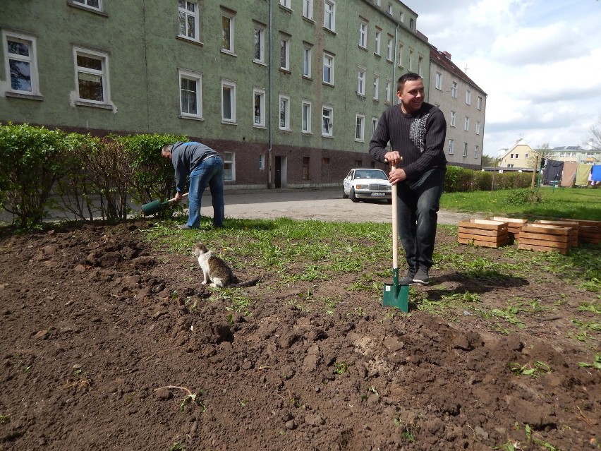 To pierwszy taki ogród w Lubuskiem! Zrobili go sąsiedzi z Zakanala w Gorzowie [zdjęcia]