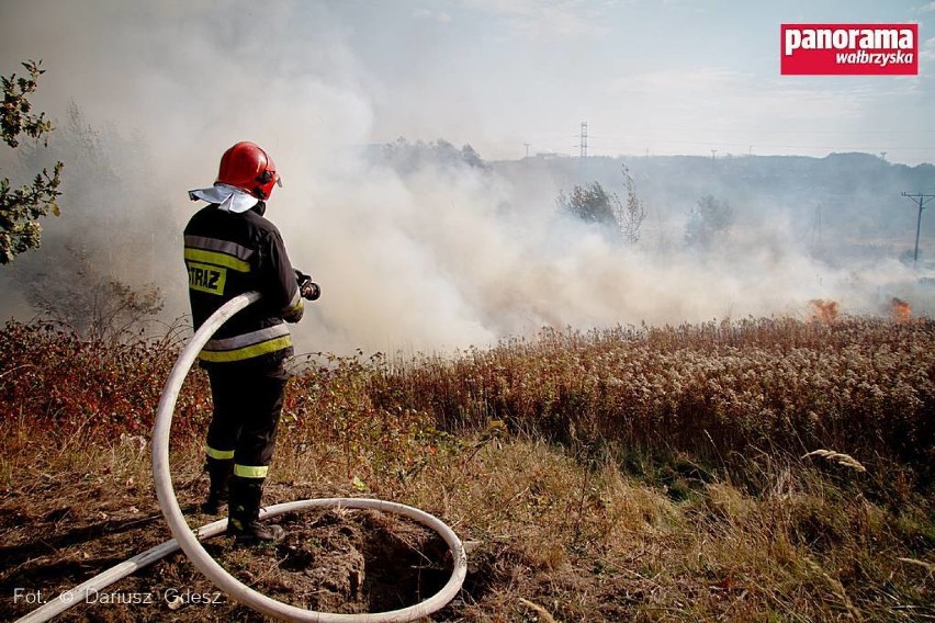 Wałbrzych:Pożar traw na Szczawienku. Zagrożony był główny gazociąg.  [ZDJĘCIA]