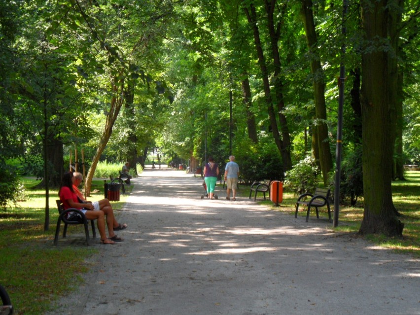 Bytom: Park miejski im.F.Kachla - powstanie źródełko miłości