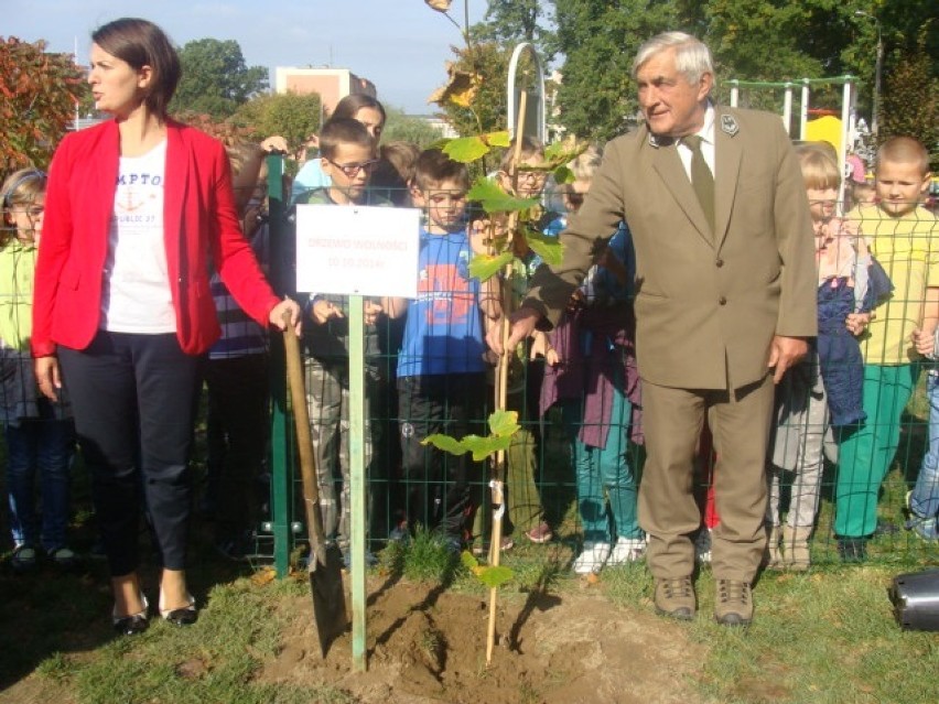 Syców: Posadzili swoje Drzewo Wolności