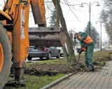 Ruszają prace interwencyjne w Świdnicy. Bezrobotni przepracują 6800 godzin