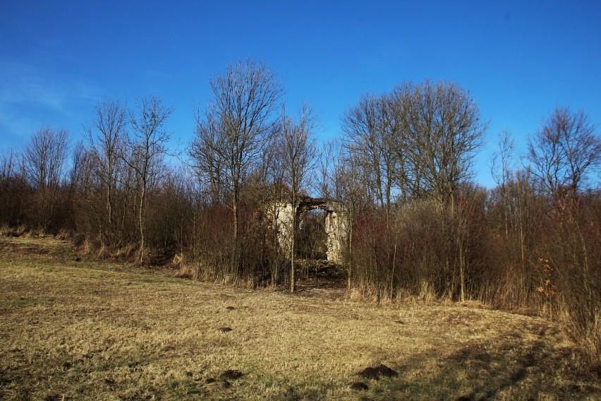 Ruiny wieży na wzgórzu zamkowym w Szczebrzeszynie
