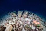 Sprawdzamy nową atrakcję turystyczną na Malcie – to pierwszy na świecie podwodny park archeologiczny