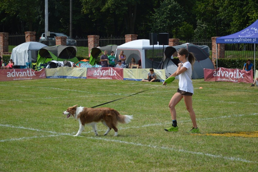 "Latające psy" w gdyńskim Parku Kolibki, czyli emocjonujące zawody w dogfrisbee