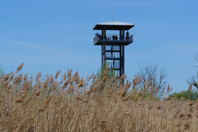 Przemków położony jest w pobliżu granicy administracyjnej dwóch województw: dolnośląskiego i lubuskiego, sam zaś podlega pod administrację dolnośląską. 

Znajduje się tutaj Przemkowski Park Krajobrazowy utworzony w połowie 1997 roku obejmujący ponad 22 tysiące hektarów. W jego skład wchodzą trzy rezerwaty florystyczne: Buczyna Piotrowicka, Łęgi Źródliskowe okolic Przemkowa, Torfowisko Borówki oraz jeden rezerwat ornitologiczny Stawy Przemkowskie (zlokalizowany w północnej części).

Jedną z atrakcji na terenie parku jest wieża obserwacyjna i punkt widokowy na stawy.