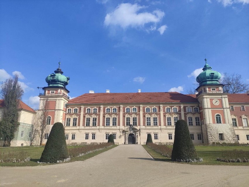 Coraz bardziej kolorowe oznaki wiosny w Muzeum - Zamku w Łańcucie