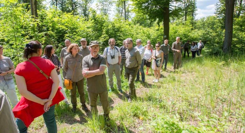 W Nadleśnictwie Olkusz otworzono nowy rezerwat przyrody „Góra Stołowa im. Ryszarda Malika"