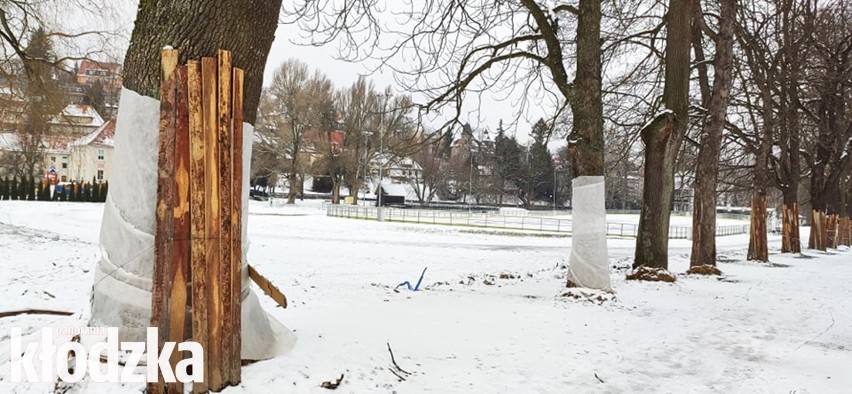 Problematyczna modernizacja Alei Chopina w Dusznikach-Zdroju 