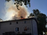 Pożar magazynu materiałów budowlanych w Dolicach. Ogromne straty i apel strażaków o pomoc!