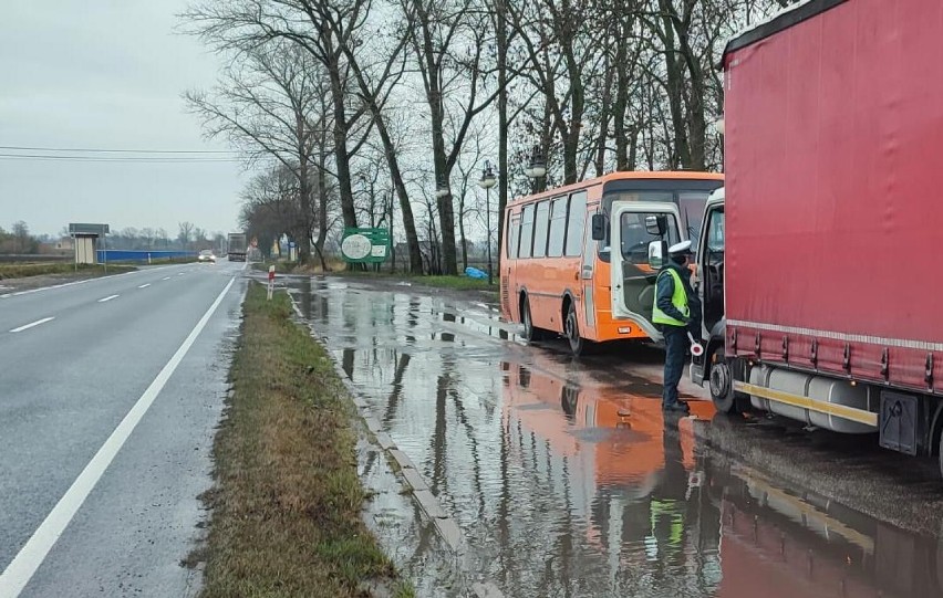 Kontrole inspektorów ITD i policjantów z Radziejowa na Drodze Krajowej nr 62 [zdjęcia]